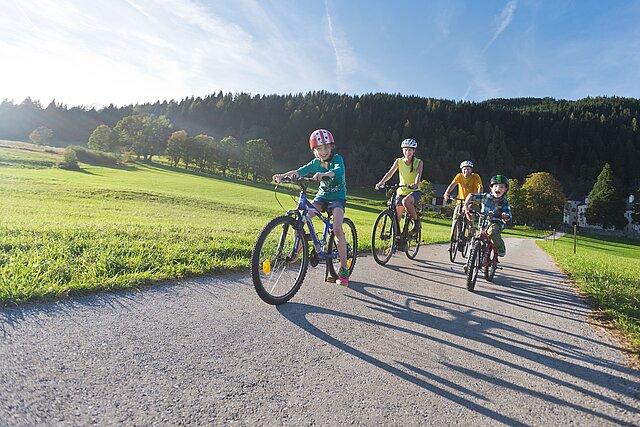 <p>Cycling experience with the whole family and good weather.</p>