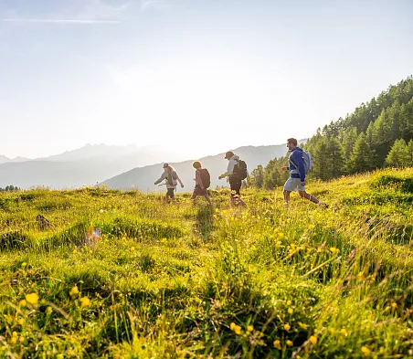 Vier Wanderer gehen durch eine blühende Berglandschaft in Flachau an einem Sommertag.