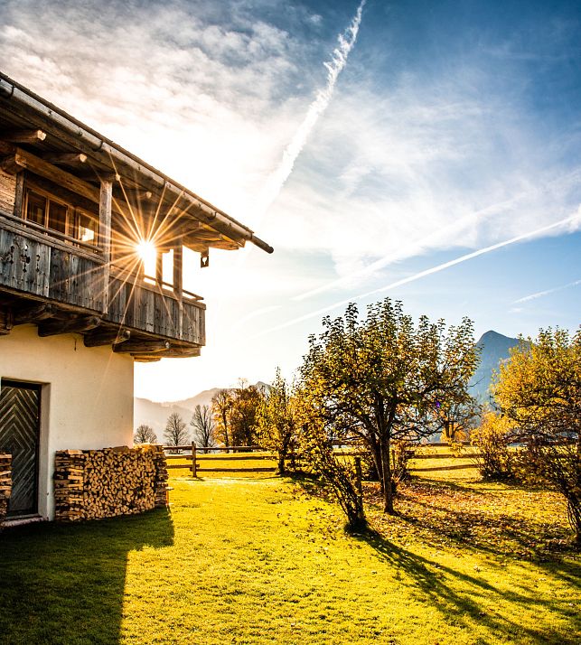Flatau-Autumn-Winter-Farmer-Sun