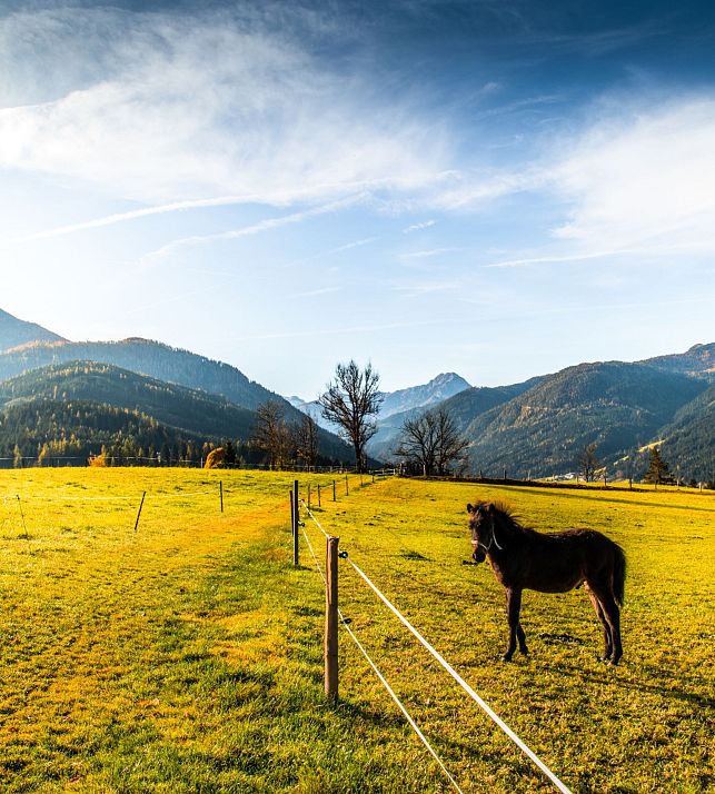 flachau-herbst-blick-winterbauer