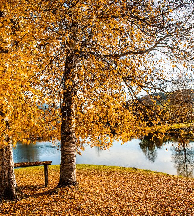 flachau-herbst-reiteck