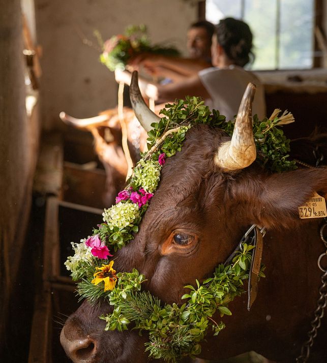 flachau-sommer-events-heimatspuren-bauernherbst