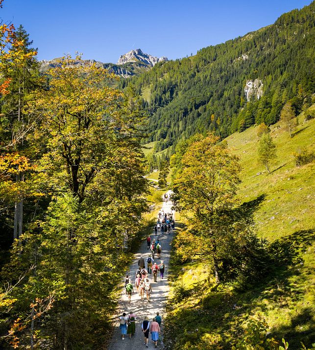 flachau-sommer-events-herbstgsang-jodelwanderung-13