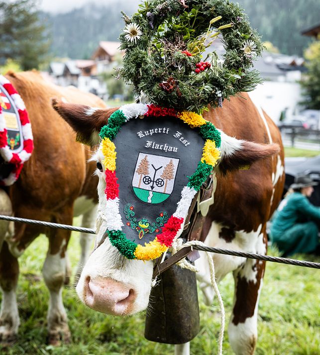 flachau-sommer-events-rupertifest-2025-4