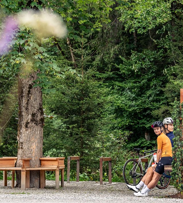 Flatau-Summer-Cycling-Enns Cycle Route-6