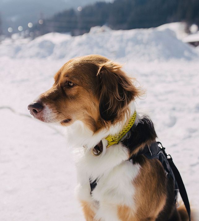 krisaint-kristina-hader-R06_1829