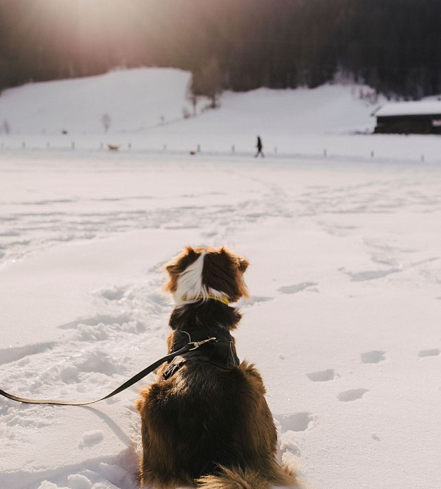 krisaint-kristina-hader-R06_2064