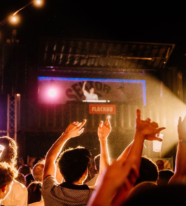 flachau-sommer-events-e-festival-2025-crowd-toby-romeo