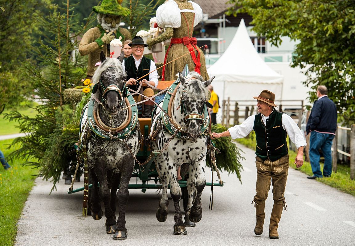 flachau-summer-events-farmers-market-6