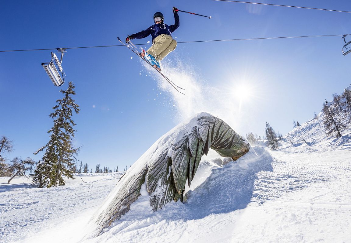 The woods are the goods