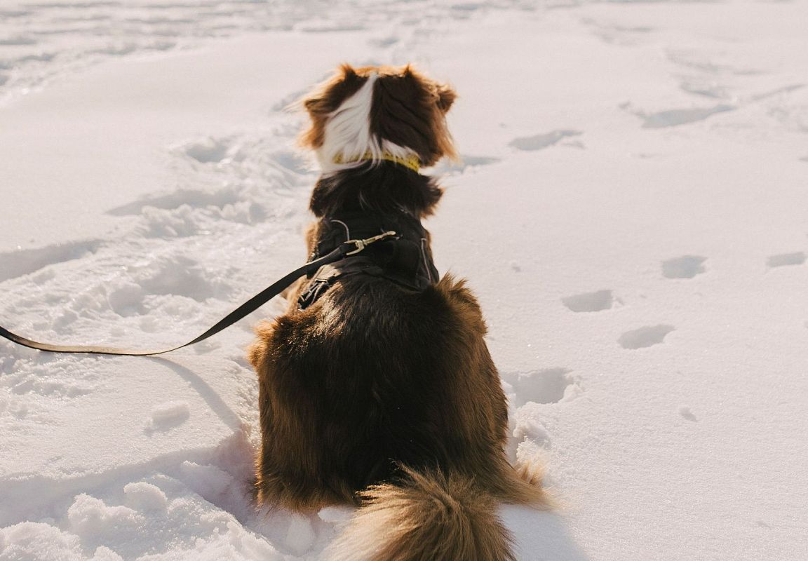 24-flachau-sommer-wandern-ennsursprung-35