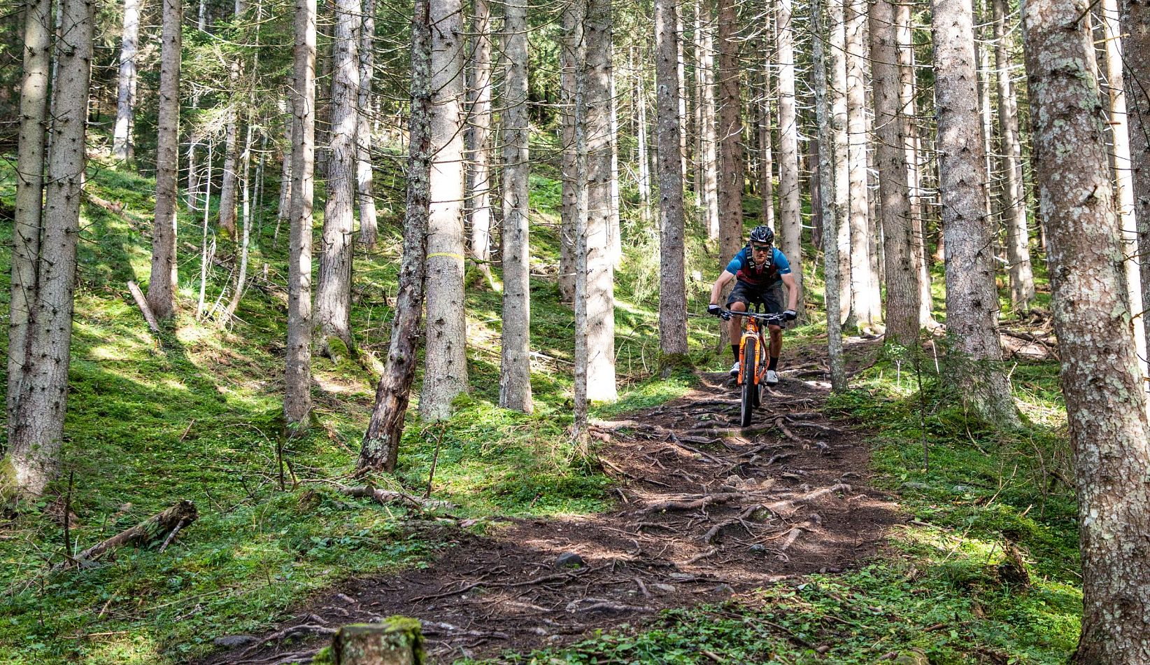 flachau-summer-cycling-stoneman-taurista-18