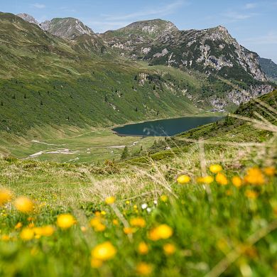 Bergsee inmitten grüner Almen und alpiner Berglandschaft.