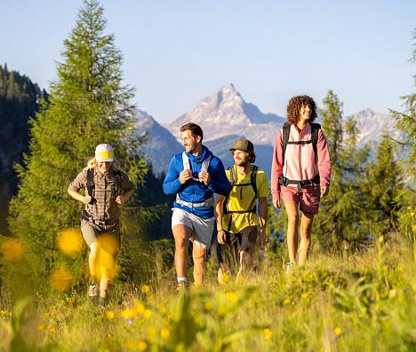 Vier Wanderer gehen gemeinsam über eine Almwiese in Flachau mit Bergsilhouette im Hintergrund.