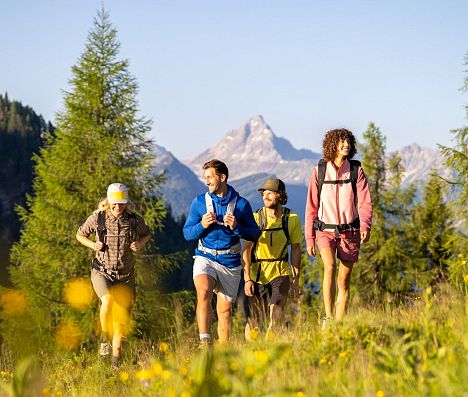 Vier Wanderer gehen gemeinsam über eine Almwiese in Flachau mit Bergsilhouette im Hintergrund.
