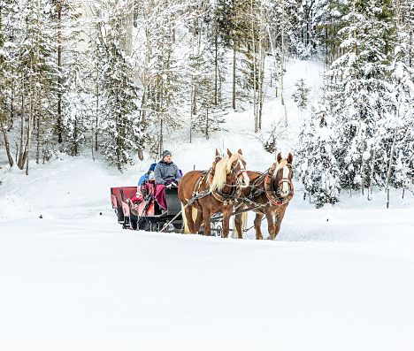 Pferdekutschenfahrt durchs tief verschneite Flachautal.