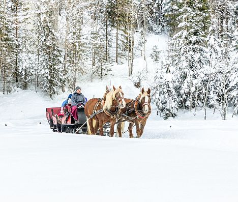 Pferdekutschenfahrt durchs tief verschneite Flachautal.