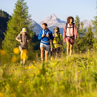 Vier Wanderer gehen gemeinsam über eine Almwiese in Flachau mit Bergsilhouette im Hintergrund.
