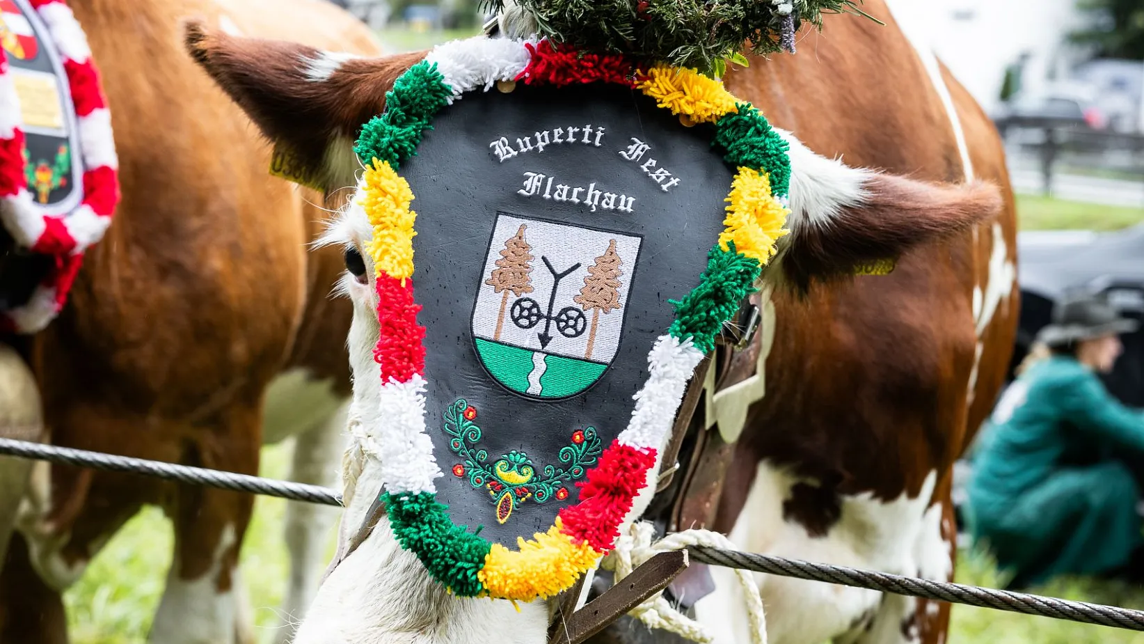 Highlights from the Rupertifest